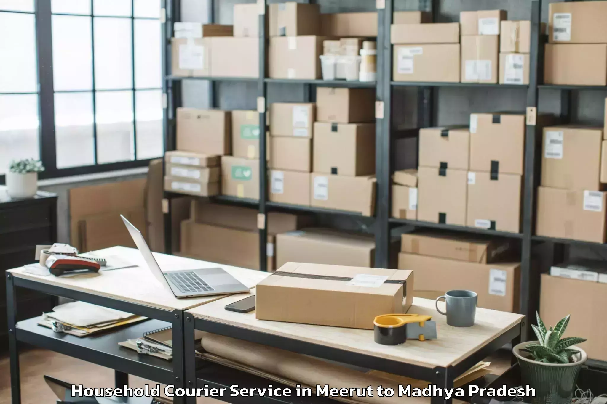 Easy Meerut to Goharganj Household Courier Booking